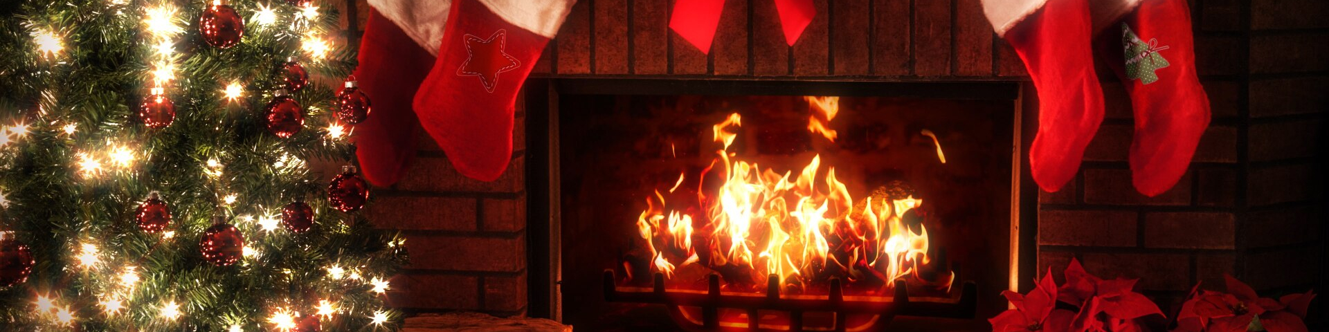 Our new Christmas advert!